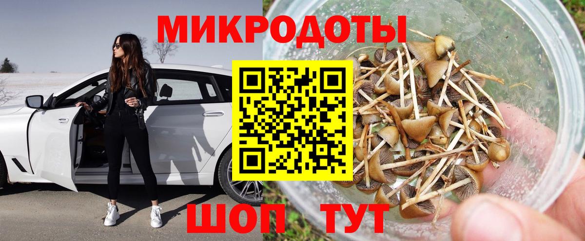 Россошь  Псилоцибиновые грибы Psilocybine cubensis  Вход с VPN 